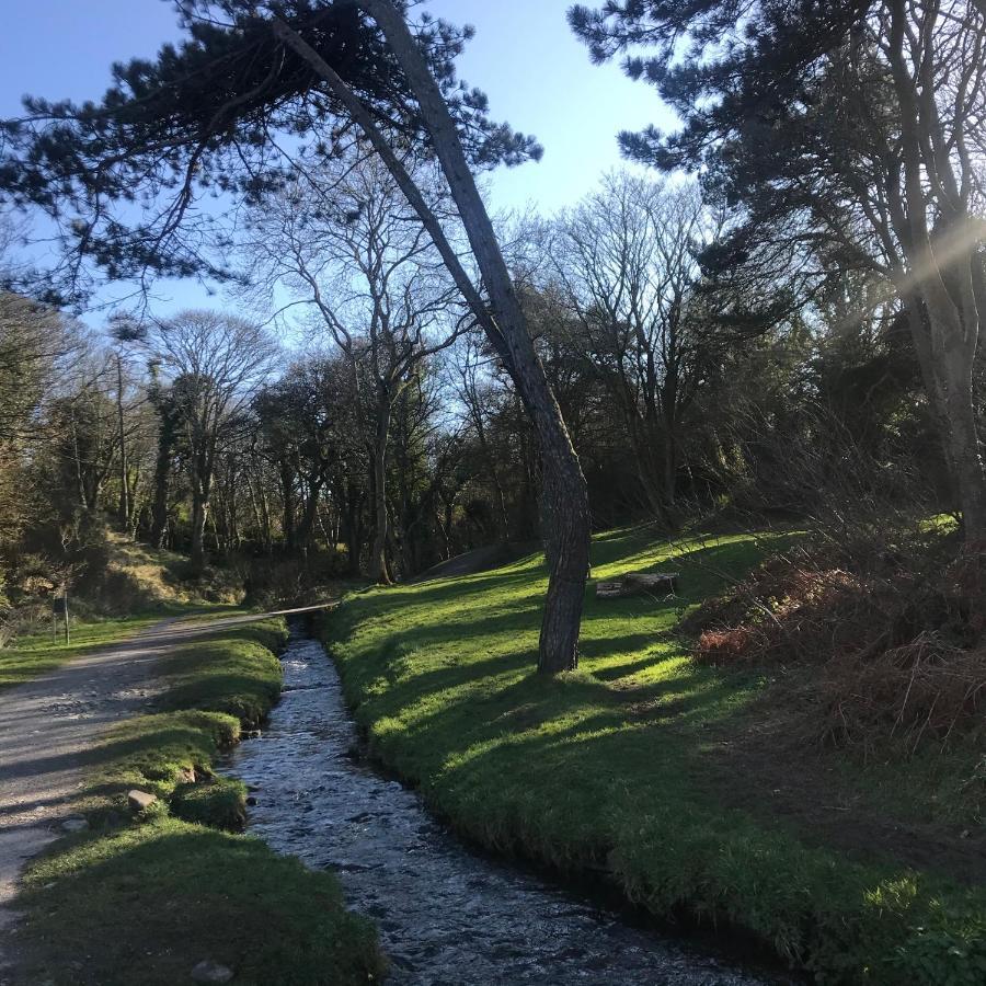 Glenbrook Cottage Bangor  Buitenkant foto